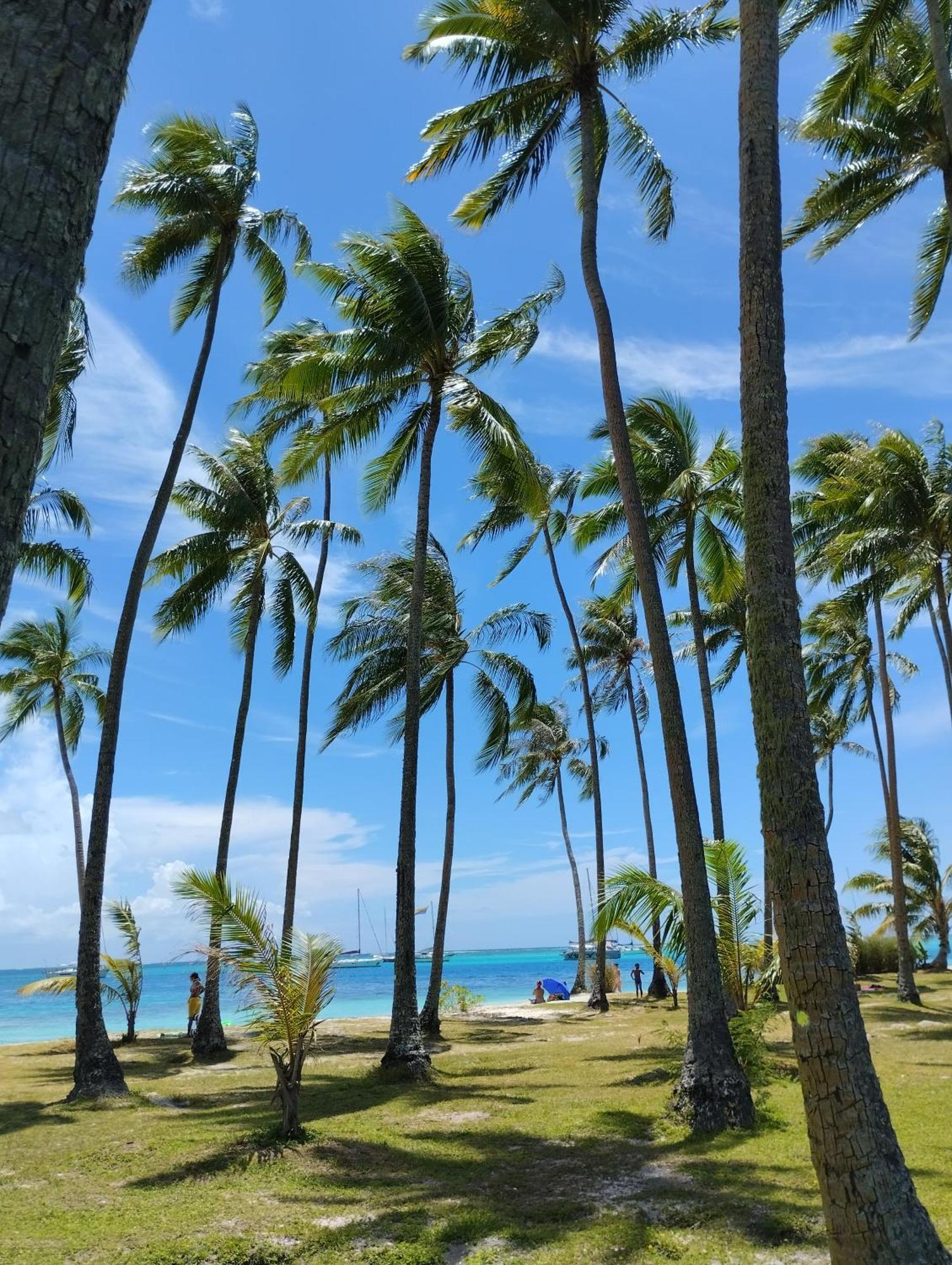 Tema'E Beach House Temae Екстериор снимка