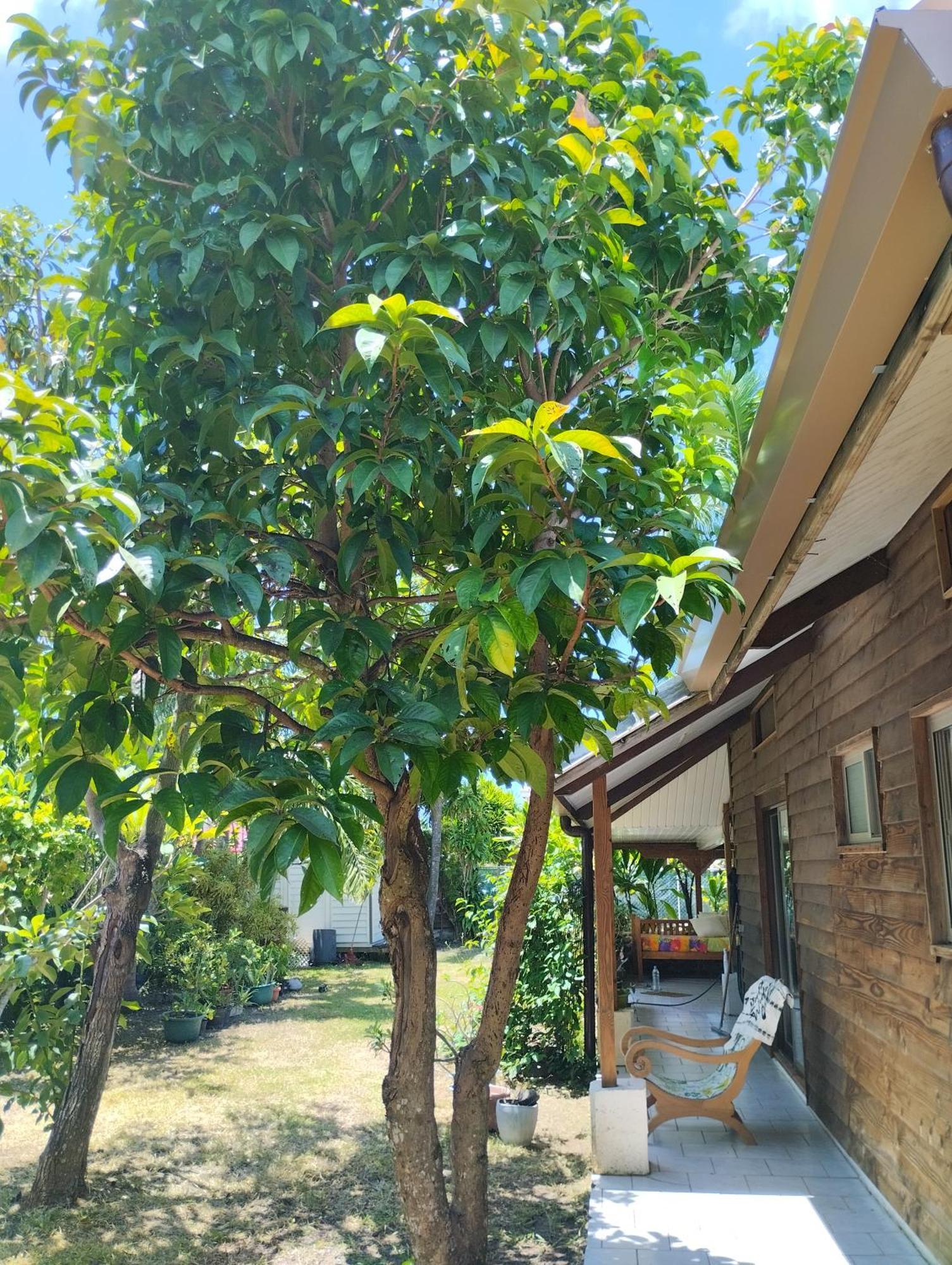Tema'E Beach House Temae Екстериор снимка