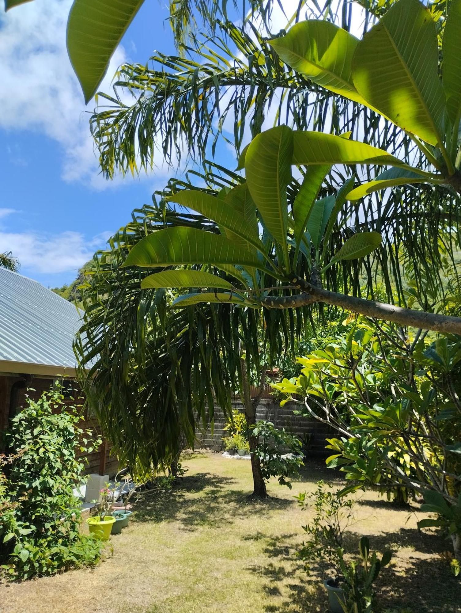 Tema'E Beach House Temae Екстериор снимка